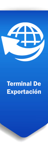 Terminal De exportación Terminal De exportación
