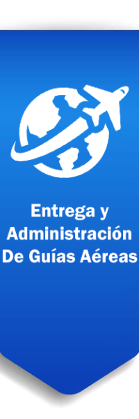 entrega guias entrega guias